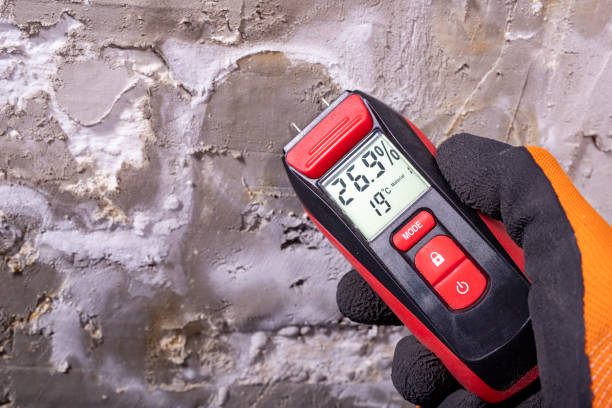Best Commercial Mold Removal  in Mayflower, AR