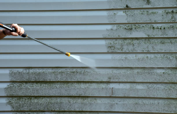 Best Mold Damage Repair  in Mayflower, AR