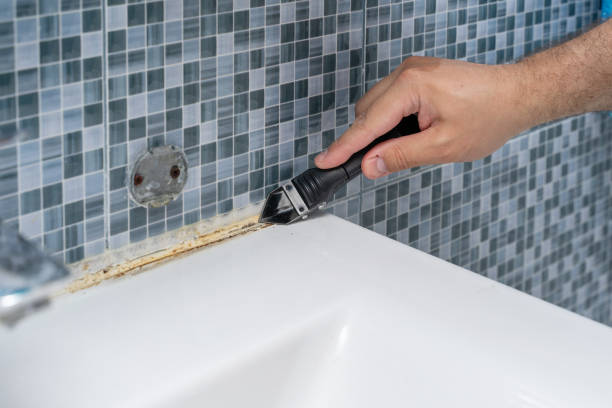 Best Affordable Mold Removal  in Mayflower, AR